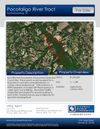 Pocotaligo River Tract 3200 East Brewington Road photo